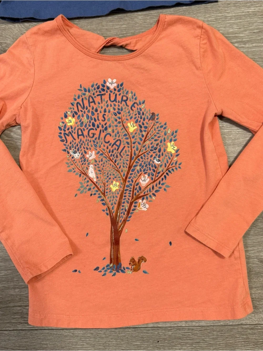 Lot Of 4 Girls Long Sleeve Tops Kid Size 7 Carters Eddie Bauer OshKosh